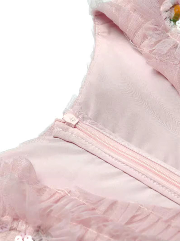 DSXDFACAIRIJ Dames Pailletten  - Vintage Fashion Collection recensie en prijs